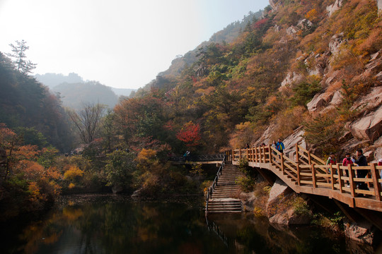嶗山秋韻