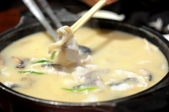 羊肉湯燒黑魚 黑魚鍋?zhàn)? style=