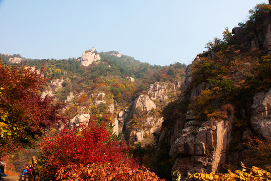 嶗山秋韻