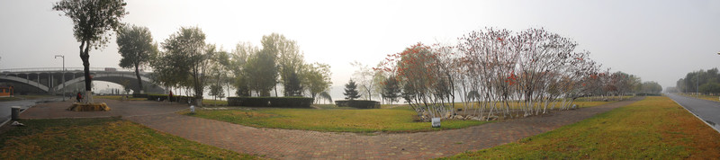 清晨公園全景圖