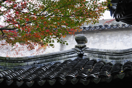 蘇州留園秋色