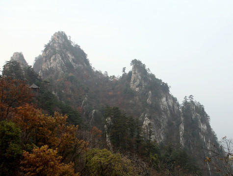 伏牛山老界嶺景區(qū)風(fēng)光