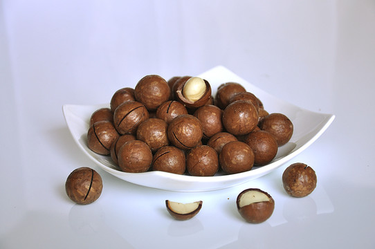 澳洲堅(jiān)果