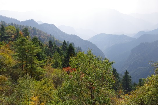 陜西安康神禾源