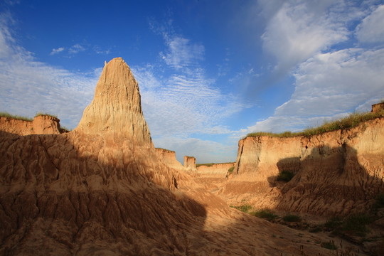 大同土林