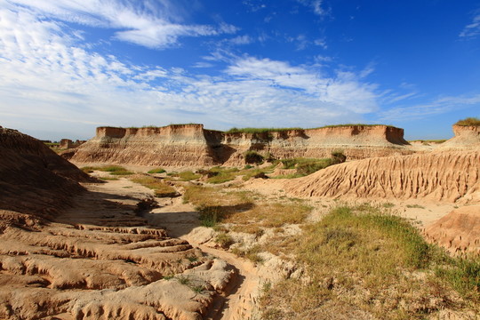 大同土林