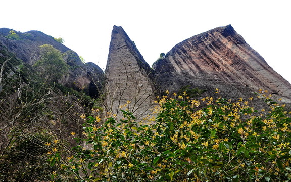 武夷山風(fēng)光