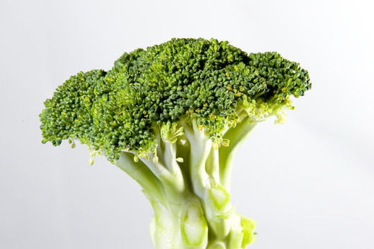 花椰菜