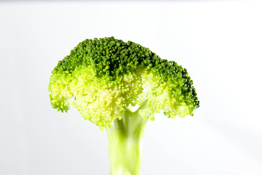 花椰菜