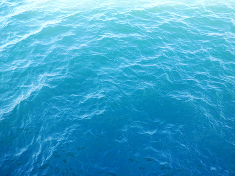 海