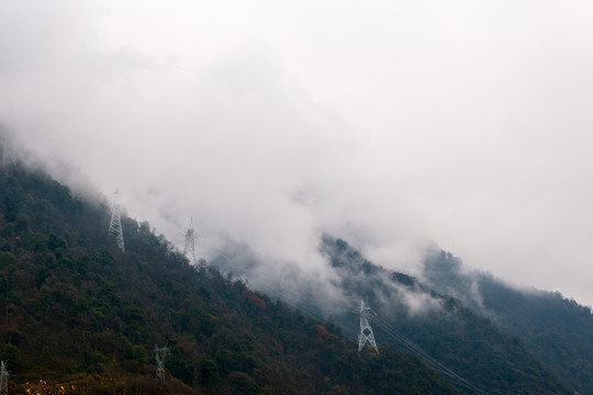 霧