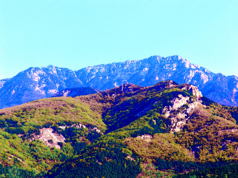 泰山初春