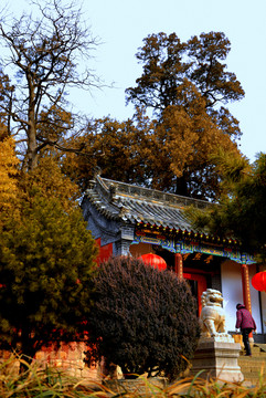 普照寺