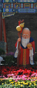 壽仙圖片