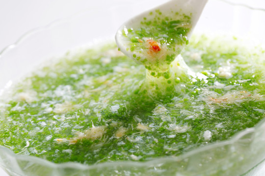 翡翠蟹肉湯