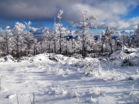 林海雪原
