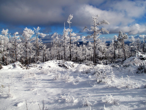 林海雪原