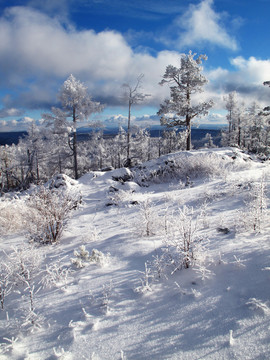 林海雪原