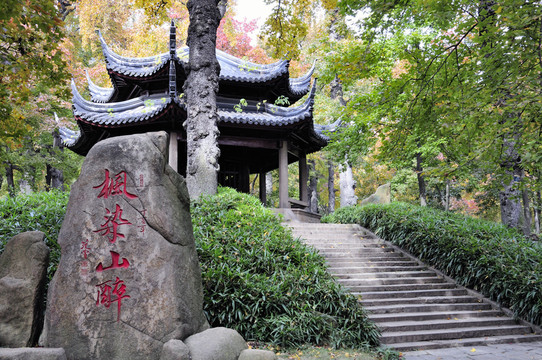 蘇州天平山紅葉