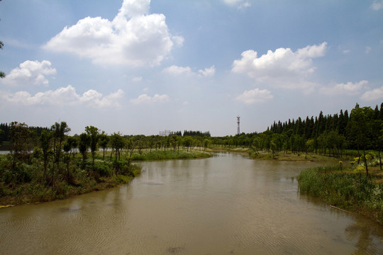 崇明島 東平國家森林公園 戶外