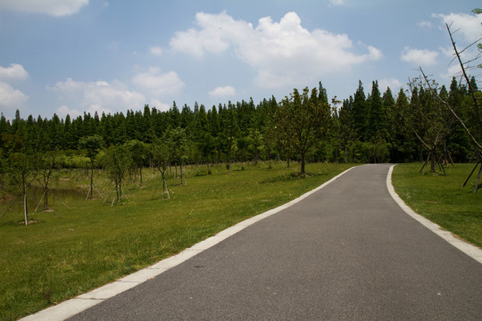 崇明島 東平國(guó)家森林公園 戶外