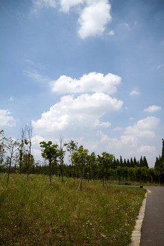 崇明島 東平國家森林公園 戶外
