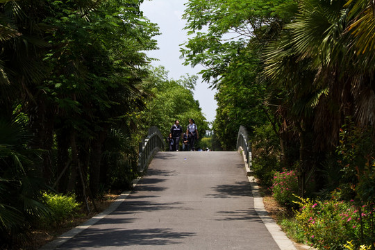 崇明島 東平國(guó)家森林公園 戶外