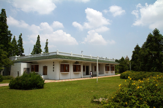 崇明島 東平國家森林公園 戶外