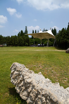 崇明島 東平國家森林公園 戶外