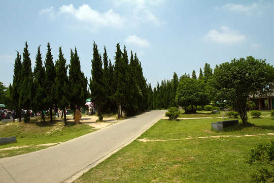 崇明島 東平國家森林公園 戶外