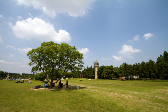 崇明島 東平國(guó)家森林公園 戶外