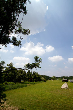 崇明島 東平國家森林公園 戶外