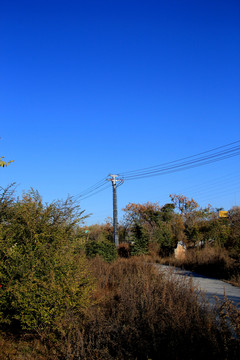 電力線