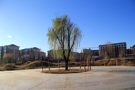 休閑廣場(chǎng)