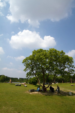 崇明島 東平國(guó)家森林公園 戶外