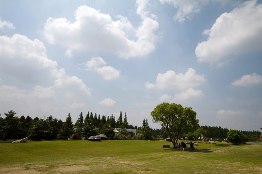 崇明島 東平國家森林公園 戶外