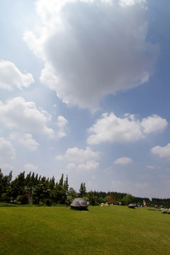 崇明島 東平國家森林公園 戶外