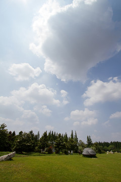 崇明島 東平國家森林公園 戶外
