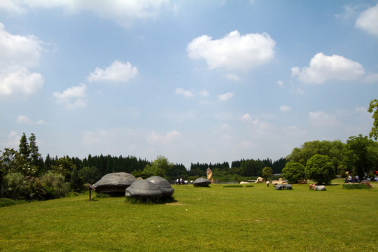 崇明島 東平國家森林公園 戶外