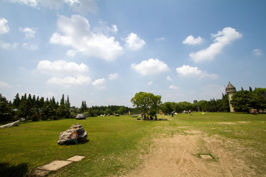 崇明島 東平國家森林公園 戶外