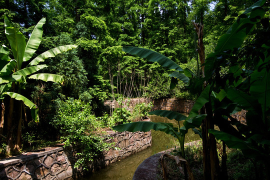 崇明島 東平國家森林公園 戶外