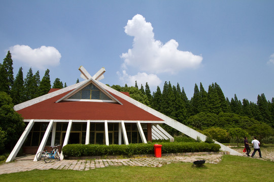 崇明島 東平國家森林公園 戶外