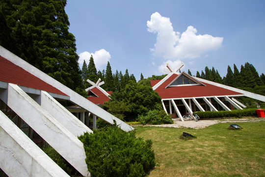 崇明島 東平國家森林公園 戶外
