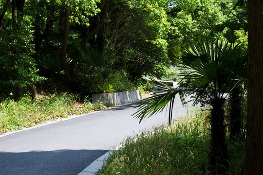 崇明島 東平國(guó)家森林公園 戶外