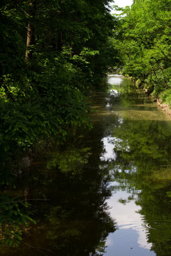 崇明島 東平國家森林公園 戶外