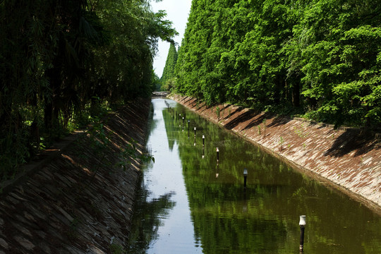 崇明島 東平國(guó)家森林公園 戶外