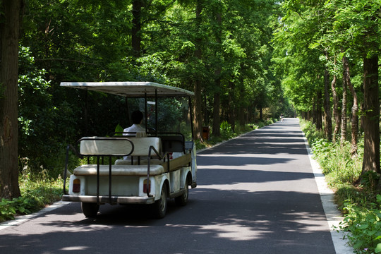 崇明島 東平國家森林公園 戶外