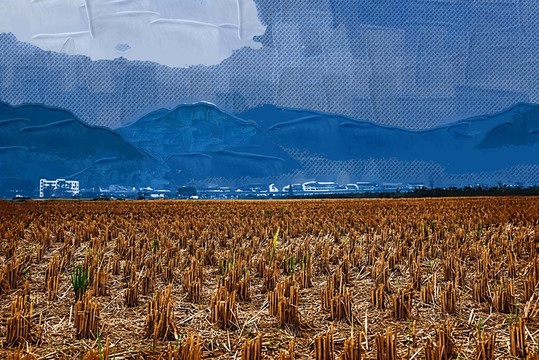 油畫 無框畫 家裝畫
