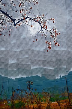 油畫 裝飾畫