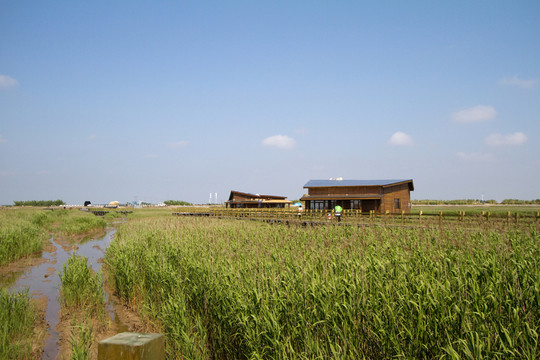 崇明東灘濕地 藍(lán)天 自然 戶外